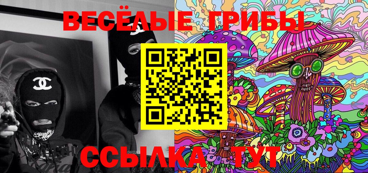 Балтийск  Галлюциногенные грибы мухоморы  Вход с VPN 