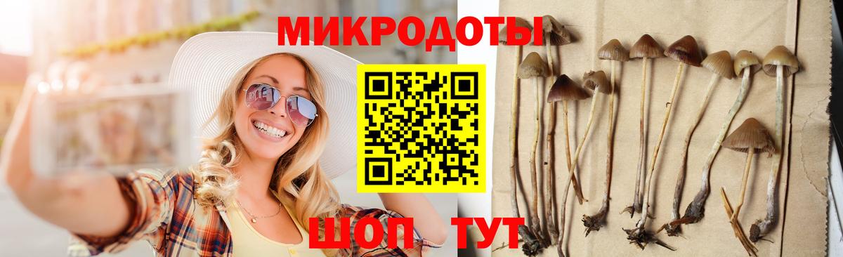 Псилоцибиновые грибы GOLDEN TEACHER Балтийск